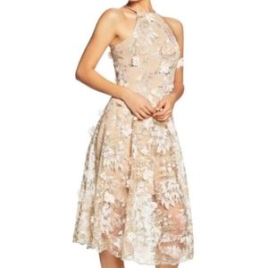 Dress the Population Dress